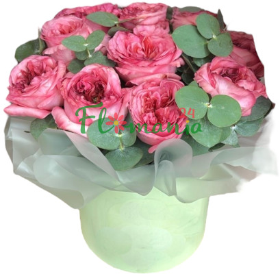 Застенчивый